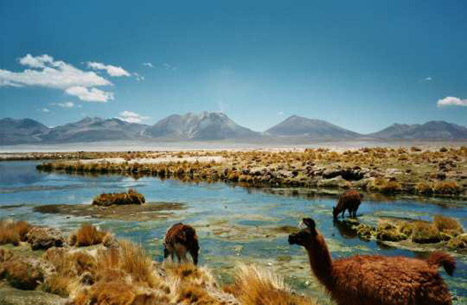 Chili en Argentinie rondreis 4