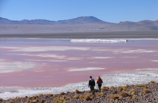 Noord Chili Bolivia en Argentinie 1