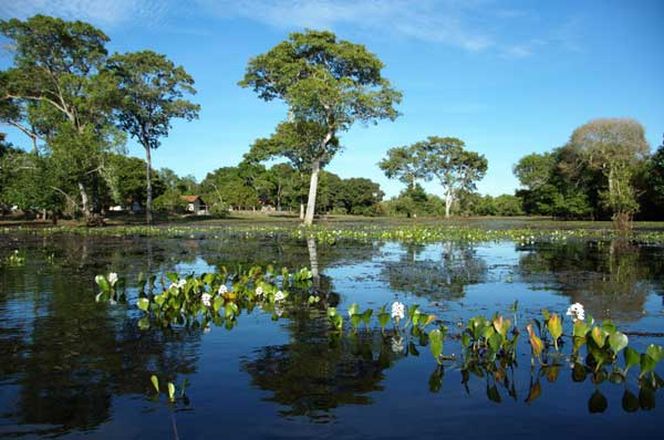 16 daagse Rondreis Natuurlijk Brazilie 4