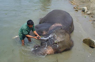 10daagse rondreis Nepal in vogelvlucht 6