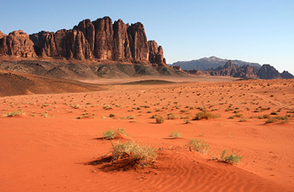 Jordanie Individueel 8 daagse rondreis