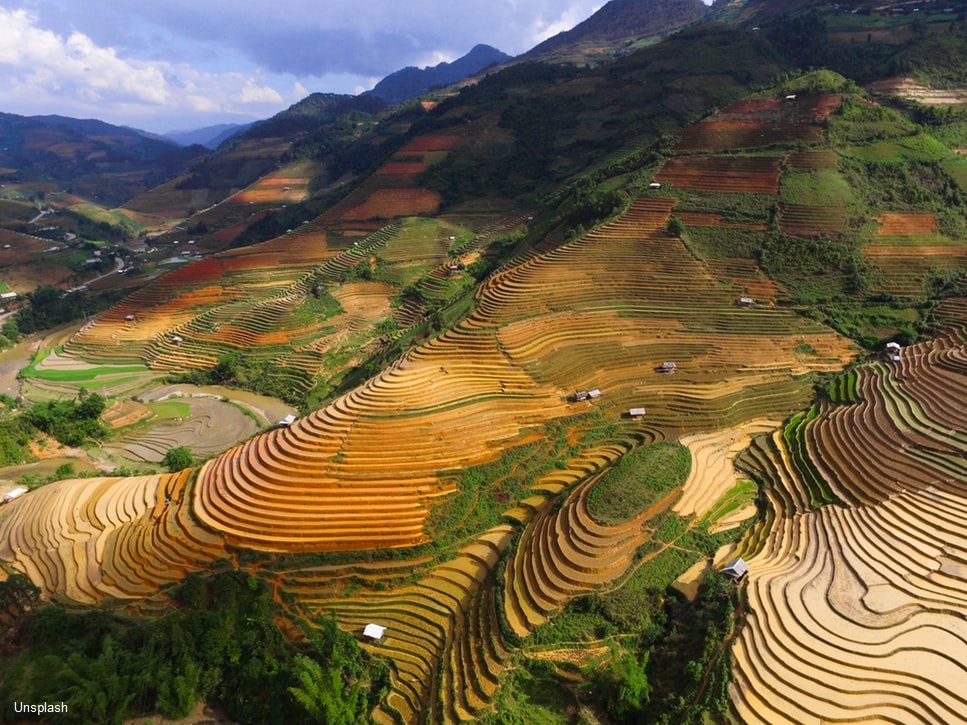 17 daagse rondreis Hoogtepunten van Vietnam Afbeelding