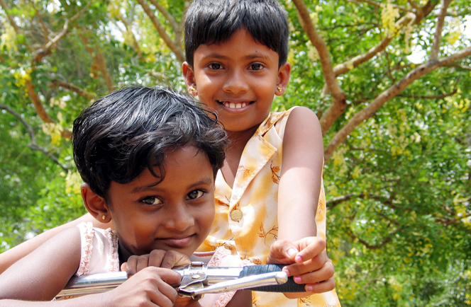 Prachtig Sri Lanka 11 daagse rondreis Afbeelding