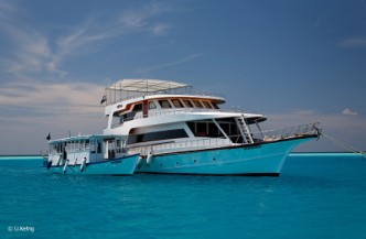 15daagse combi Liveaboard Sheena en Medhufushi Resort 6