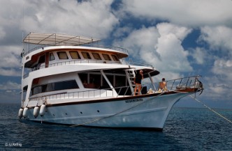 18daagse combi Liveaboard Sheena enen Medhufushi Resort Afbeelding