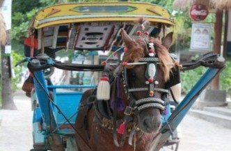 14daagse rondreis Bali enen Lombok Afbeelding