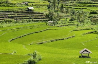 14daagse rondreis Bali en Lombok 1