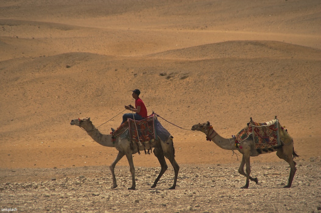 8 dagen 4 sterren Jeep safari Sinai Inclusief excursies 3