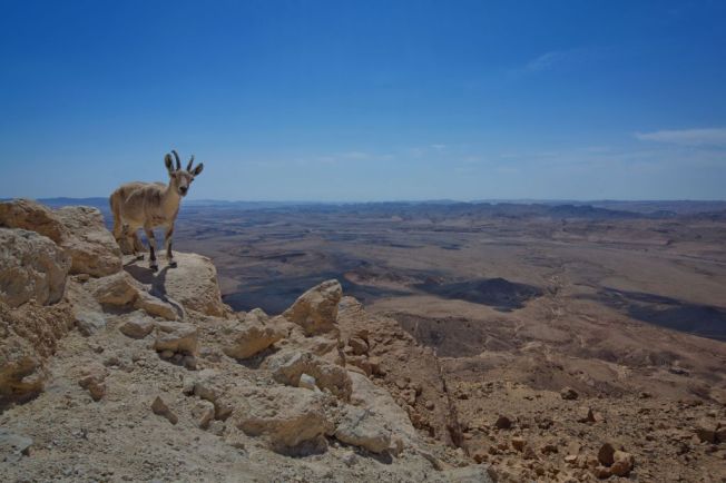 8 daagse Israel op Wielen 2 6