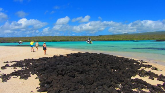 Active Galapagos Afbeelding