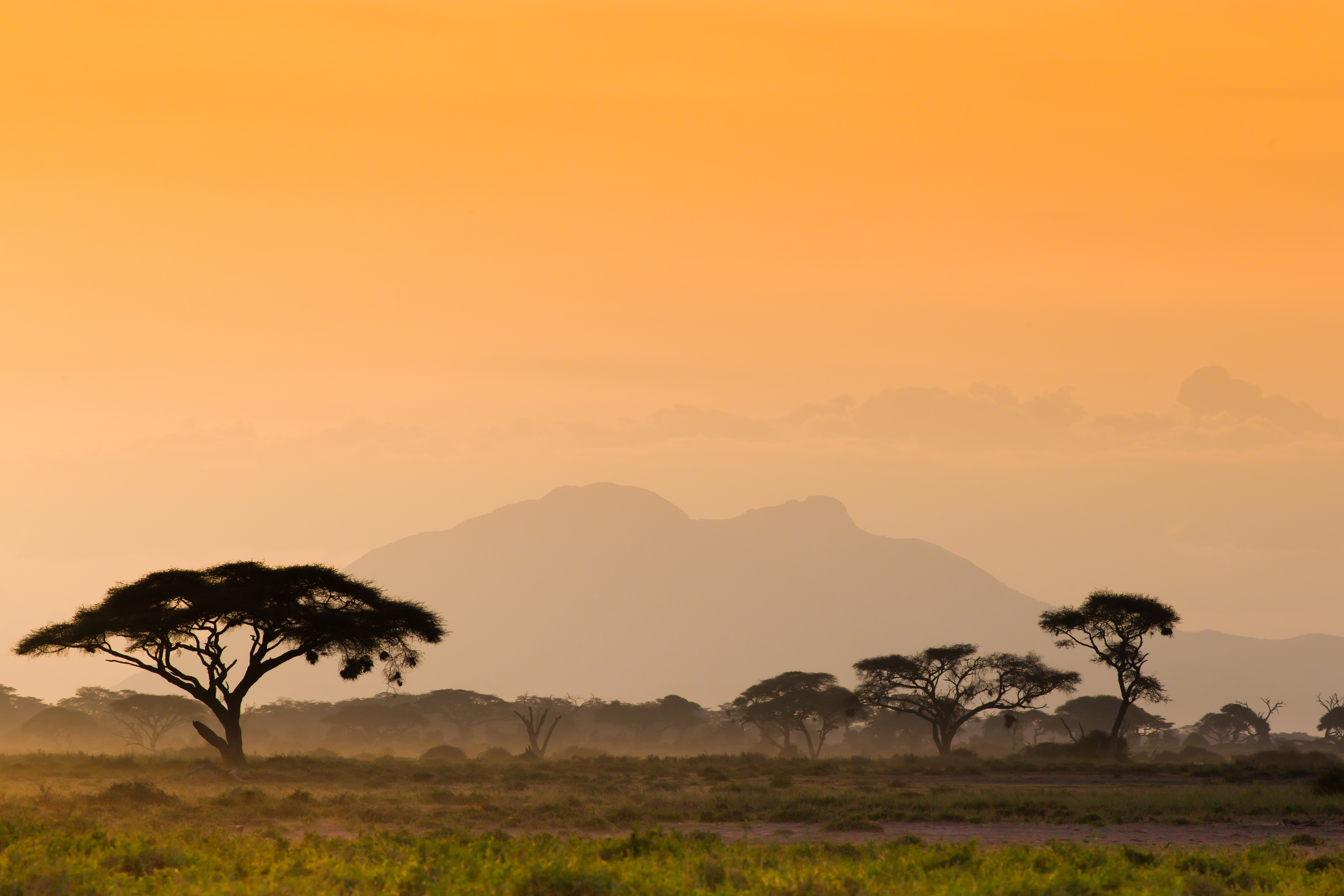 Road to Zanzibar