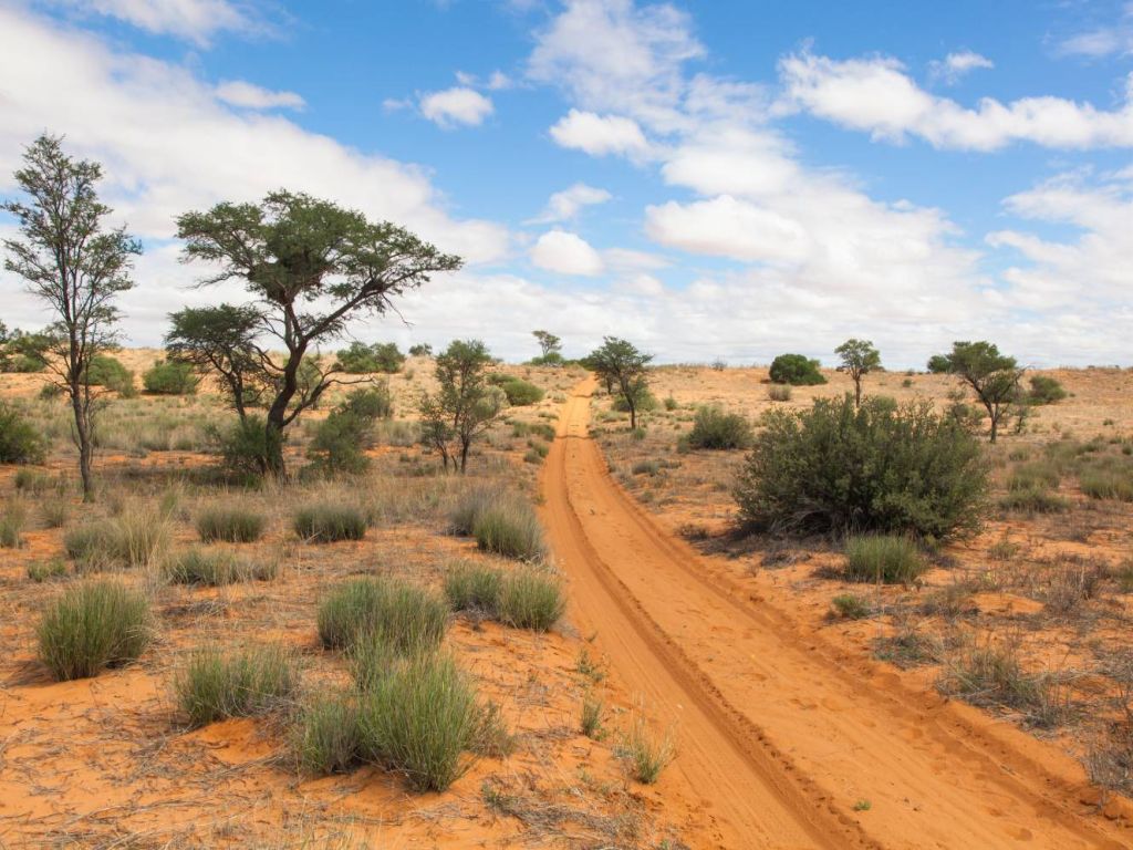 13 daagse safari rondreis Puur Natuur Afbeelding