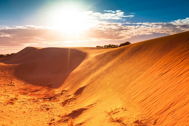 11 daagse autorondreis per 4WD South Australia enen Outback Afbeelding