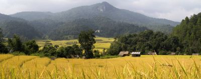 Beleef het Noorden van Thailand Afbeelding