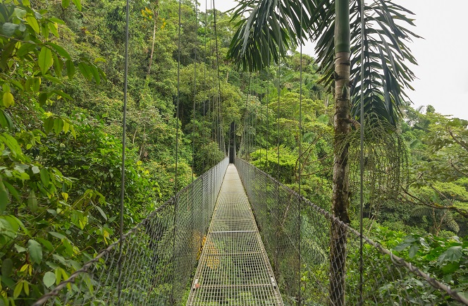 Best of Costa Rica and Panama Afbeelding