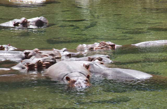 16 dagen Safari Best of Kenia met the Reef Afbeelding