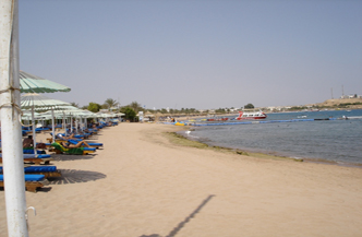 SPECIAL! 11 daagse 4 sterren Cairo en Sharm El Sheikh 1