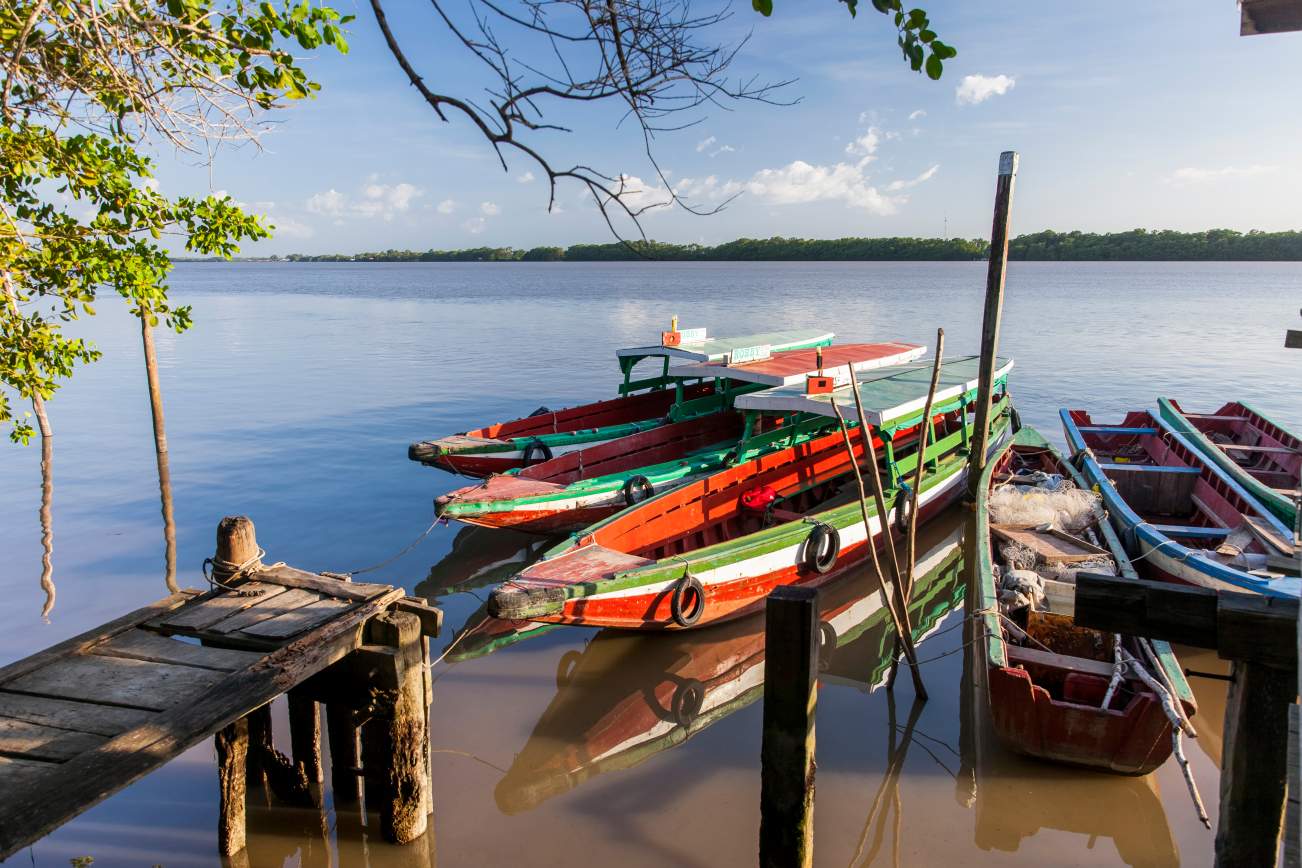 Fly en Drive in Switi Suriname Rondreis 12