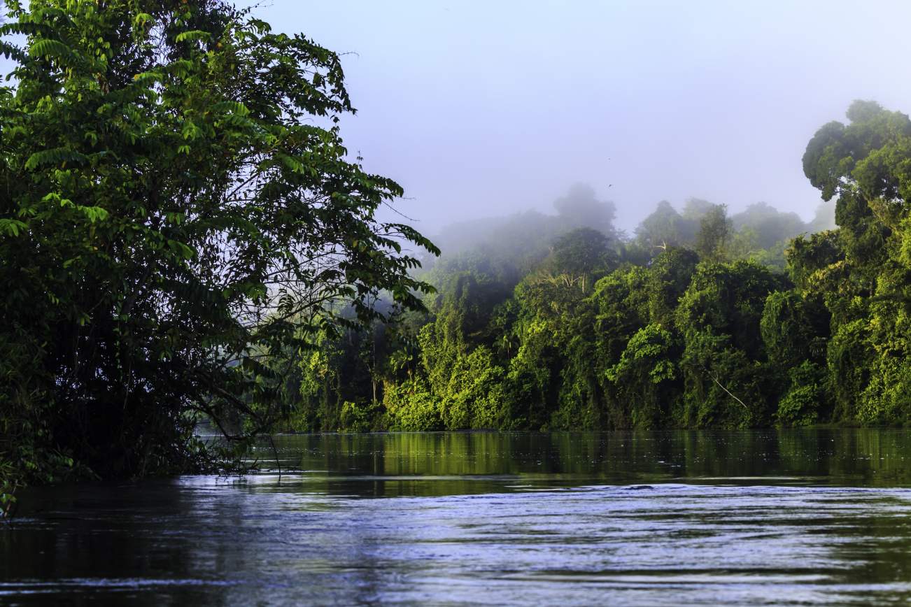 Suriname Cultuur en Avontuur Rondreis 9