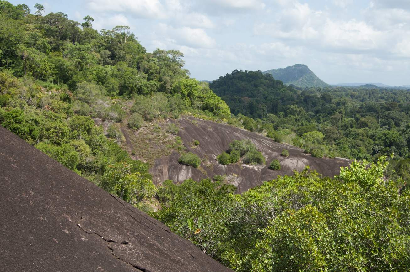 Suriname Oost-Zuid-West Rondreis  7